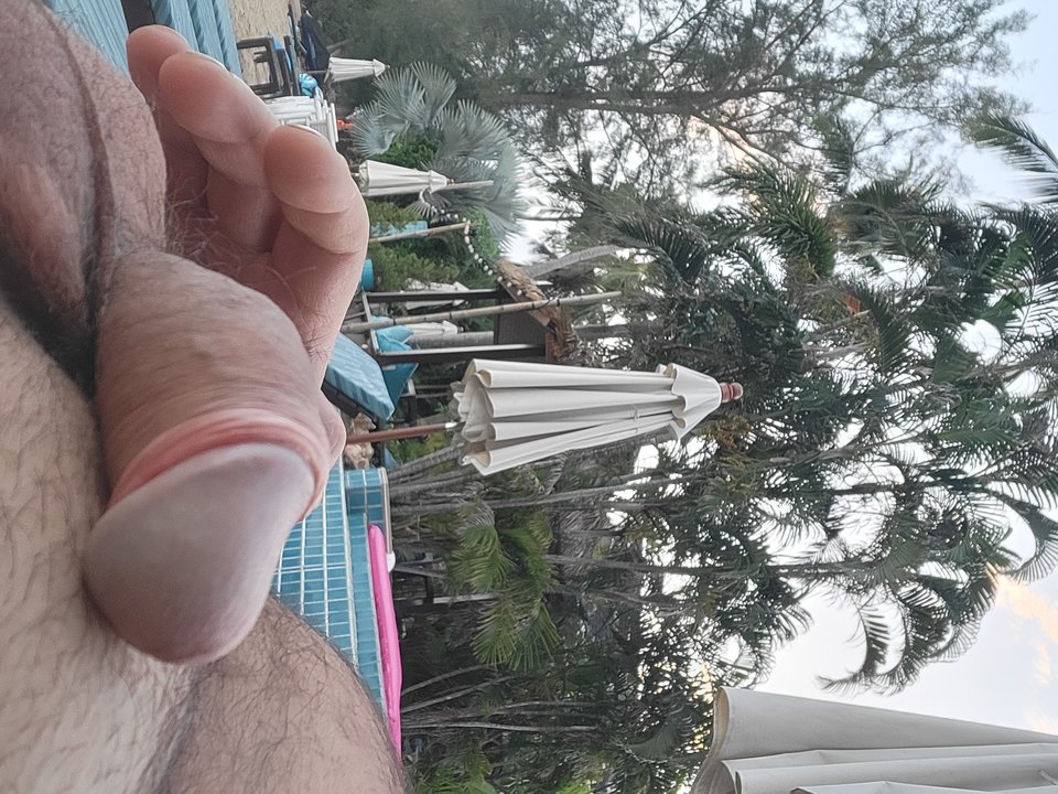 1000001789.jpg - JcWalker69