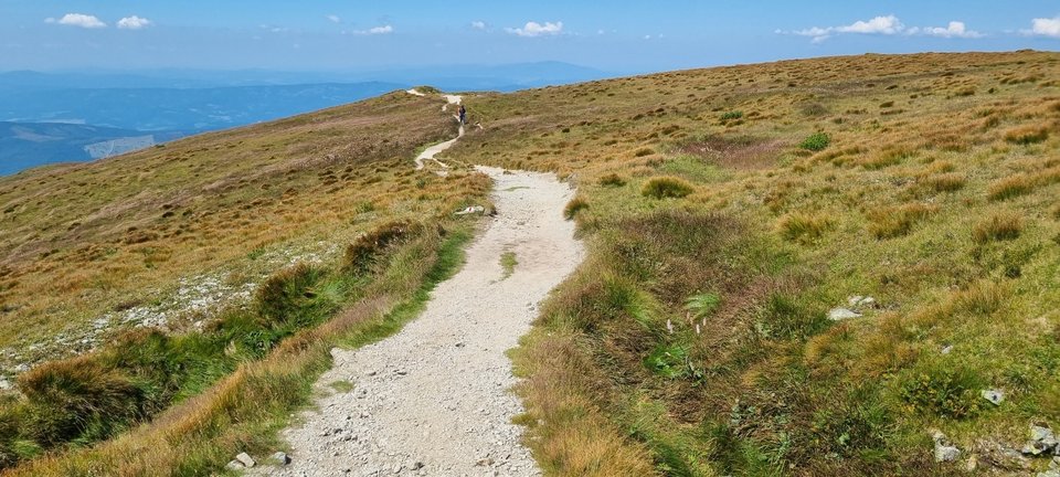 Background - przypadek_1