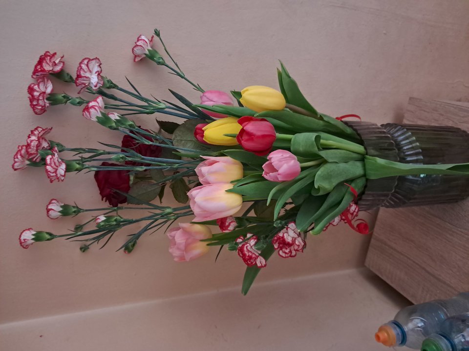 1000011681.jpg - Stokrotki112