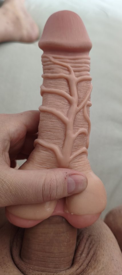 1000006895.jpg - erectusm