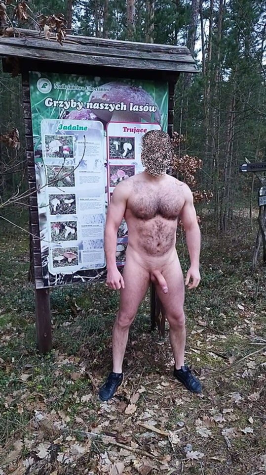 grzyby.jpg - PublicPlaces