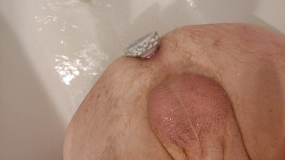 1000071496.jpg - tygrysekl