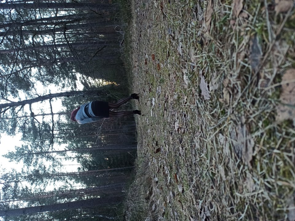 IMG_20260311_173604.jpg - iwka40