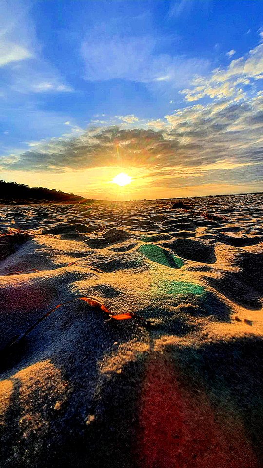 1ad36c82-9150-4c00-b93d-6d3d11f5c8fd-1_all_845.jpg - GoldenWST