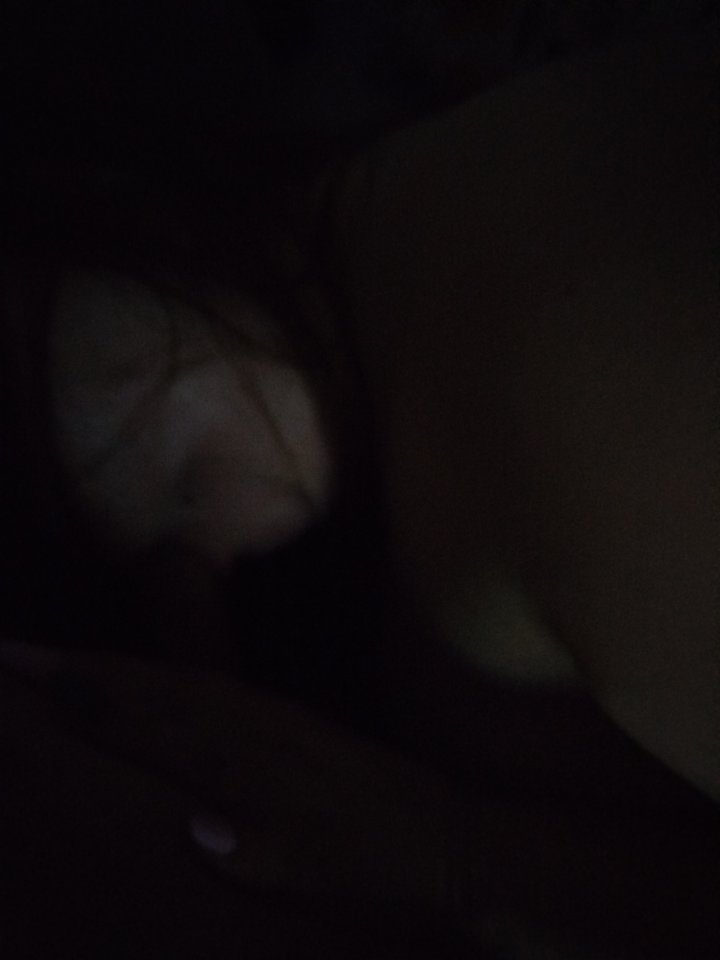 1000003818.jpg - zboczuszki_wwa