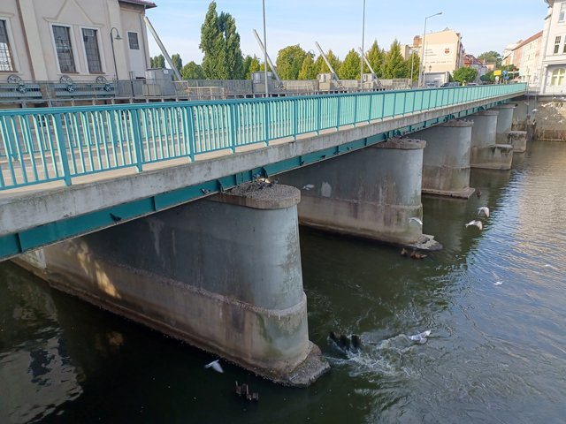 zawszegoraca2