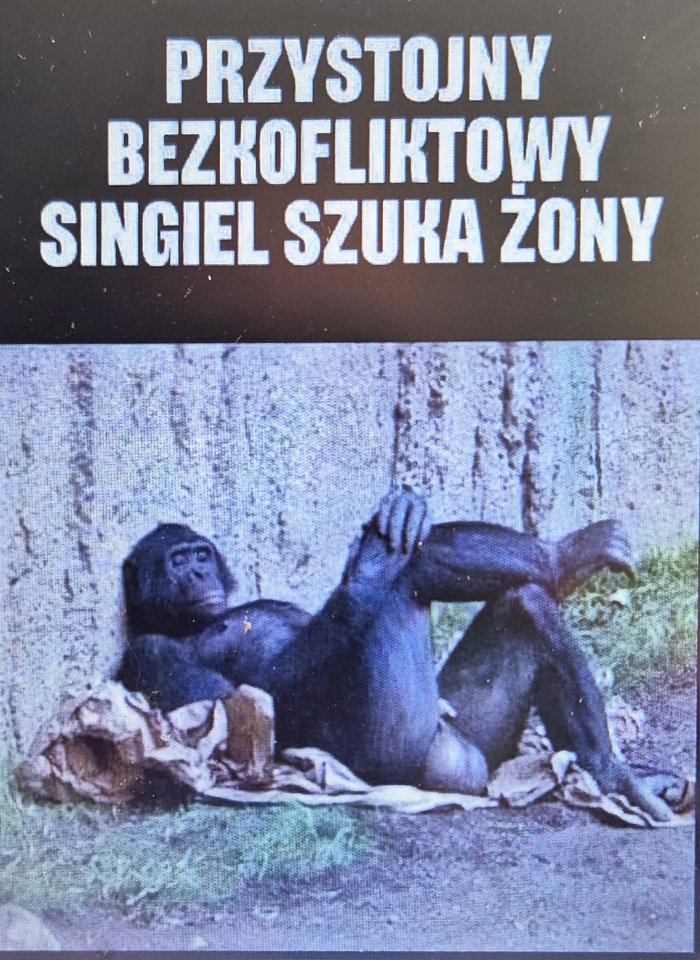 1000040034.jpg - BezpanskaS