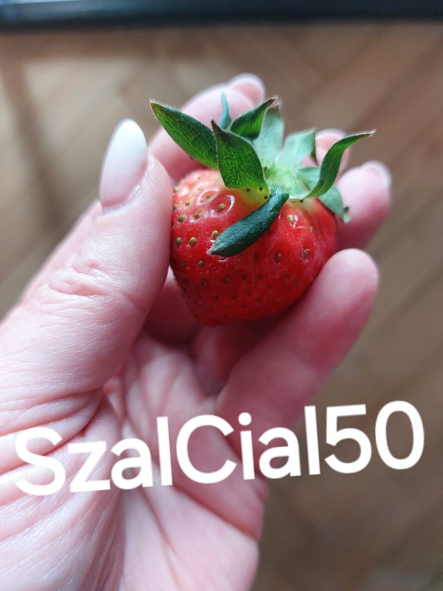 SzalCial50