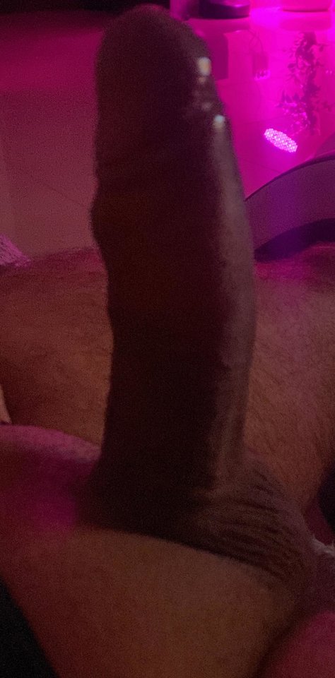 dick.jpeg - Showtime696
