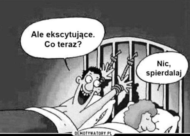tygrysek2026