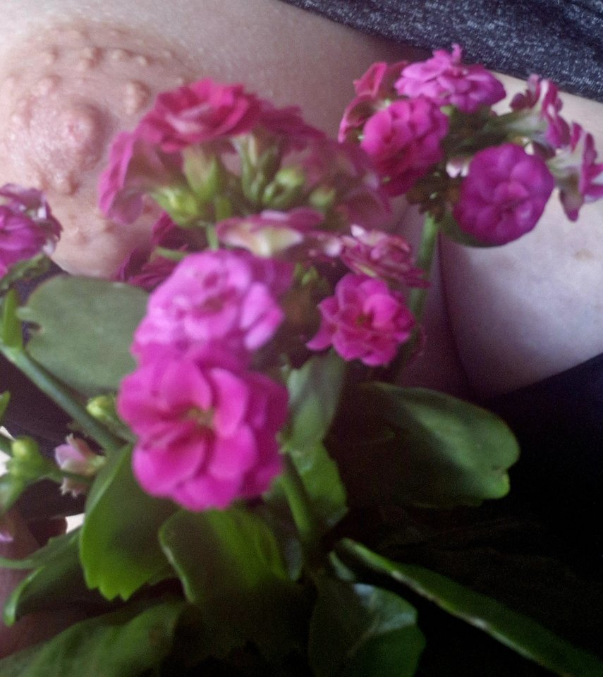 23787.jpg - Sunshine82