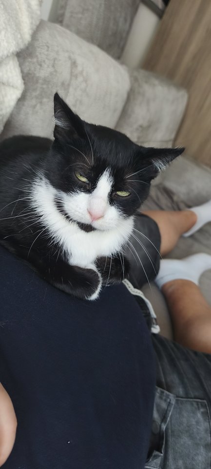 66ad9eff-66ce-4745-bd41-38d28fdd9a5d-1_all_2271.jpg - Obelixpila90