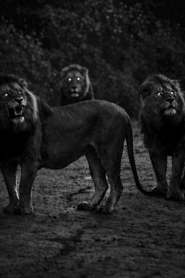 FB_IMG_1773435842582.jpg - MusicIsTheStrongersFormOfMagic