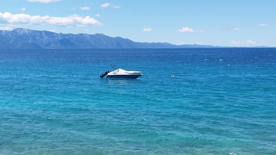 IMG_20250709_121943.jpg - Borsuczki1970