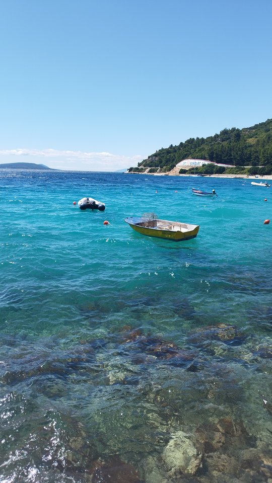 IMG_20250709_142747.jpg - Borsuczki1970