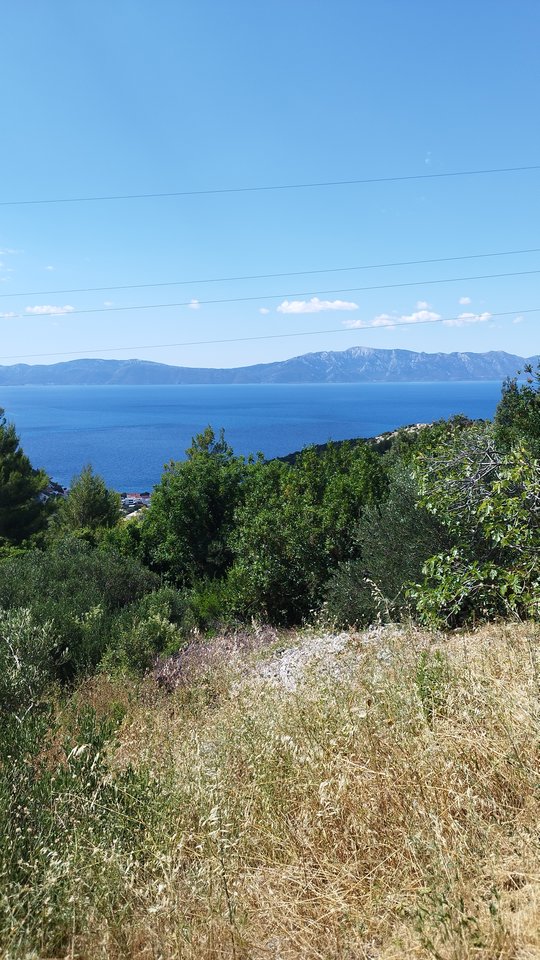 IMG_20250710_105212.jpg - Borsuczki1970