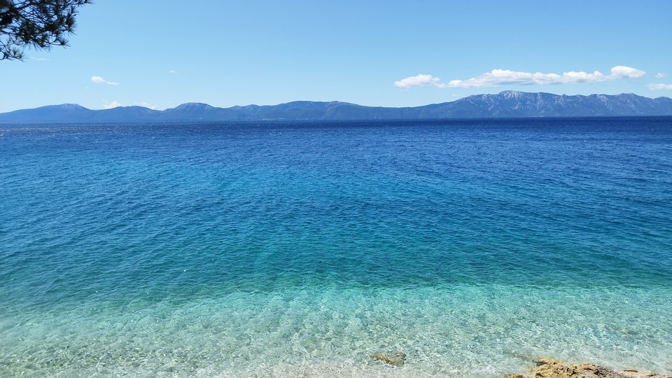 IMG_20250709_112124.jpg - Borsuczki1970