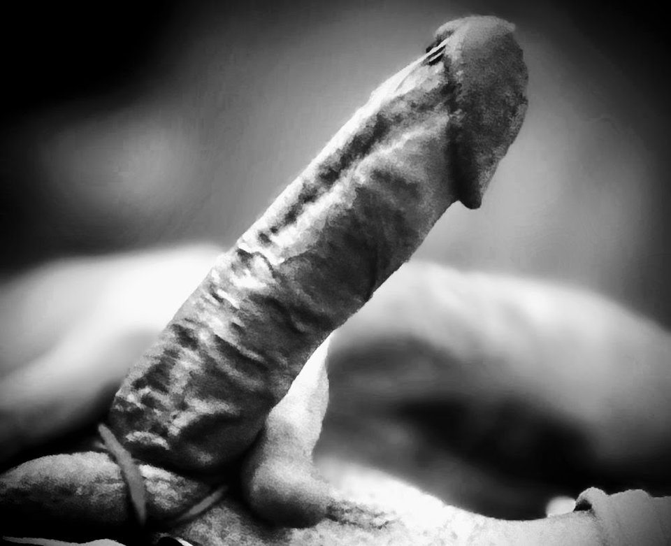 IMG_20251004_131611027_PORTRAIT~4.jpg - LIBIEeksperymentyORAL