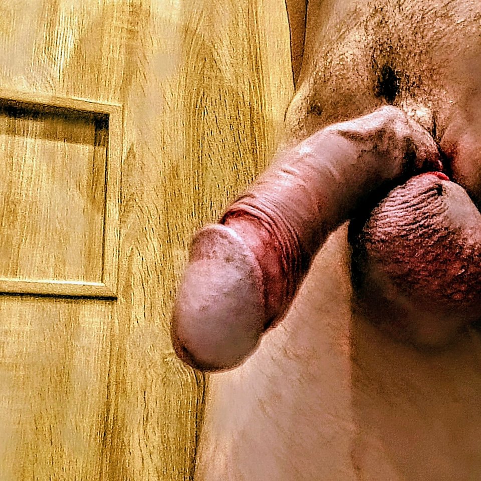 IMG_20251015_004539556~4.jpg - LIBIEeksperymentyORAL