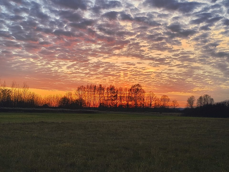 1000008251.jpg - StudRzesz22