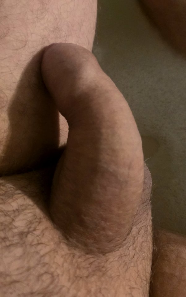 8517.jpg - Saimon0791