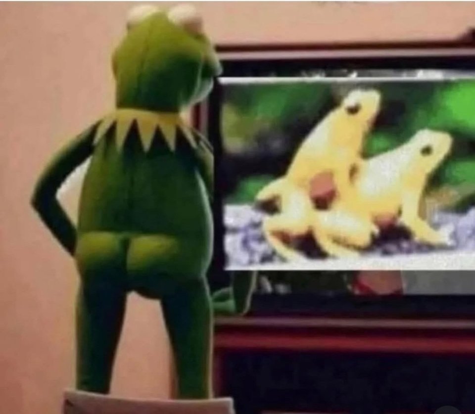 kermit.jpg - safopro2