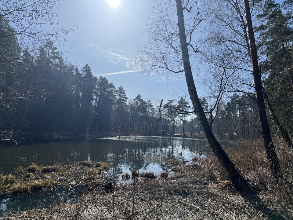 IMG_0806.jpeg - MarsBezWenus