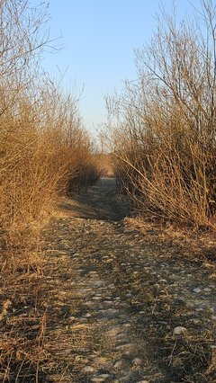 Plaża w Stadłach - 14.03.2026