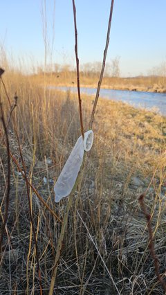 Plaża w Stadłach - 14.03.2026