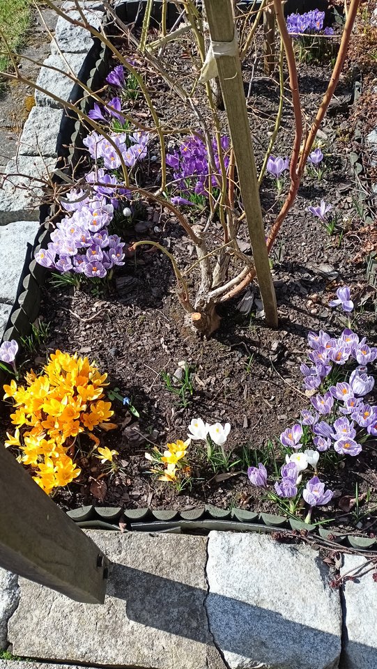 IMG20260314105238.jpg - Zapamietaj3