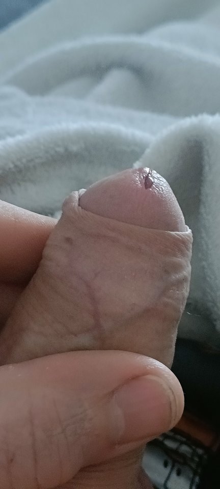 1000005971.jpg - Maxmaks40