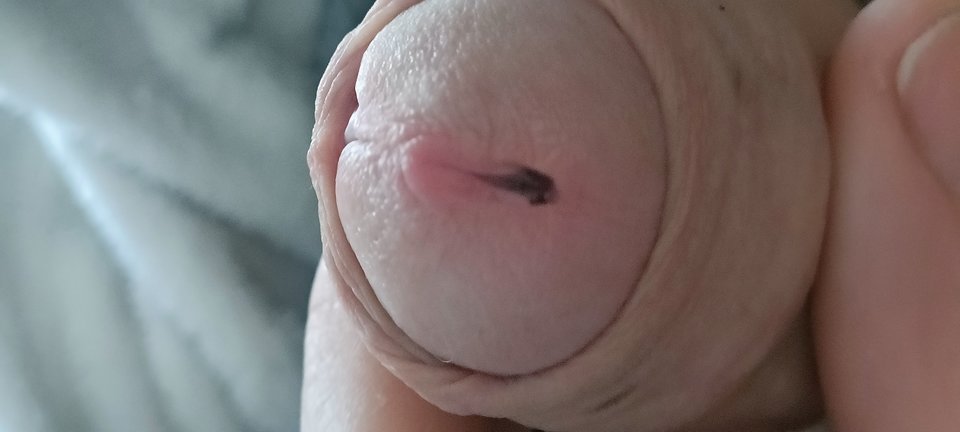 1000005972.jpg - Maxmaks40