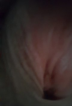IMG_2092.jpeg