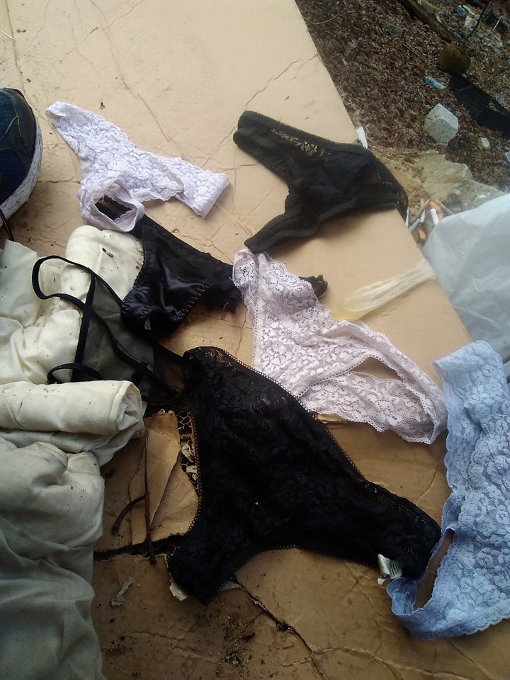 IMG_20260315_111241.jpg - Lukasz43swi