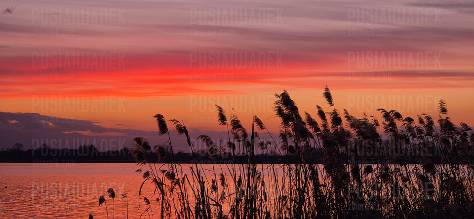 1000090833.jpg - Pusiaiwanek