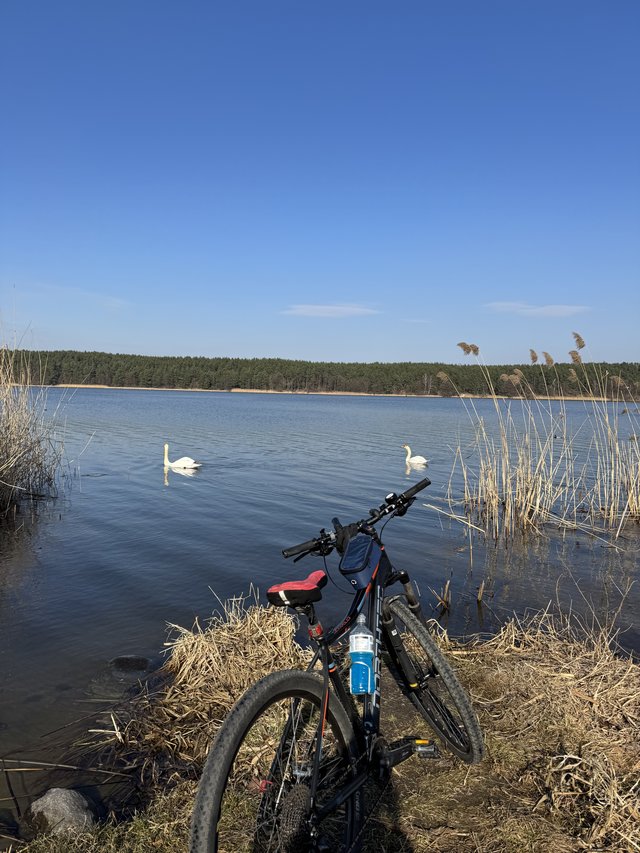 Are_there_impossible_things