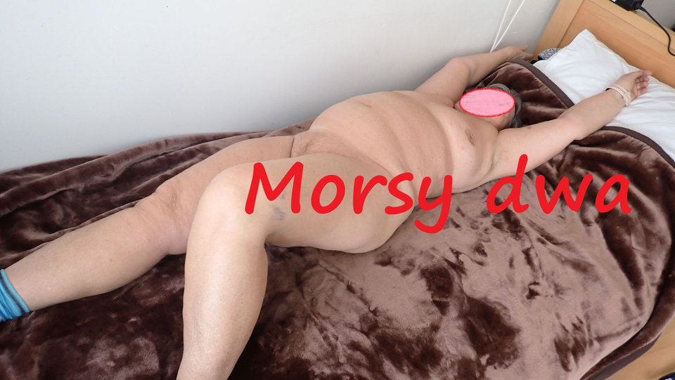 Na kocyku. - Morsy_dwa