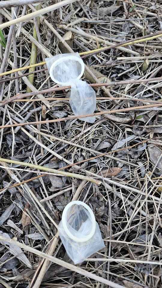 1000051059.jpg - nowytomas