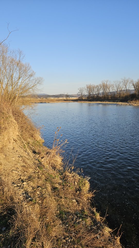 1000051042.jpg - nowytomas