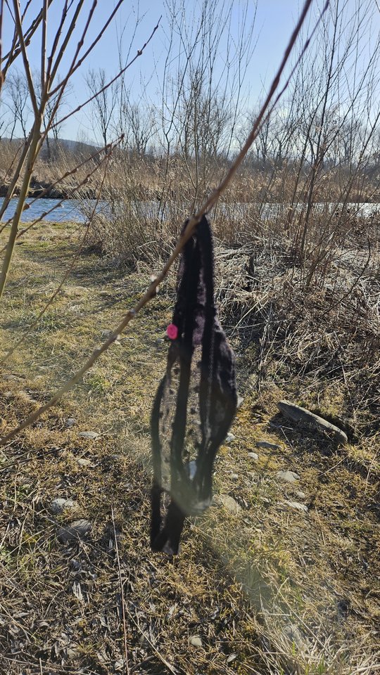 1000050123.jpg - nowytomas