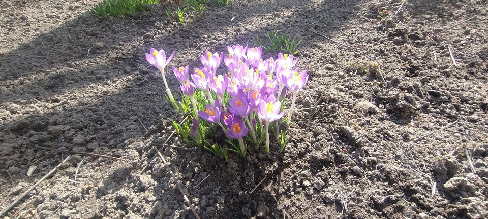 IMG_20260314_113828473.jpg - AnnaDojrzalaNaturalnaE