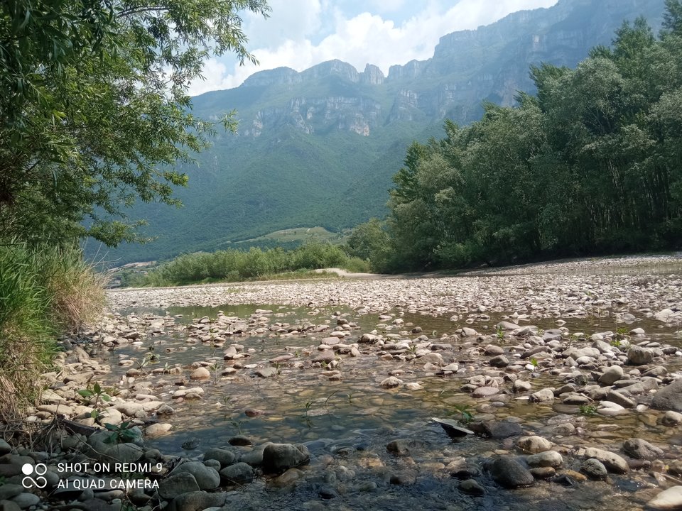 IMG_20220515_132631.jpg - Zawiedziony1234