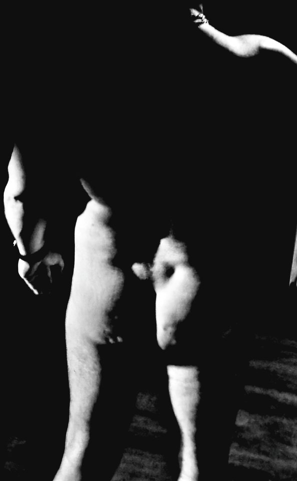 IMG_20260316_012429.jpg - adiozoo