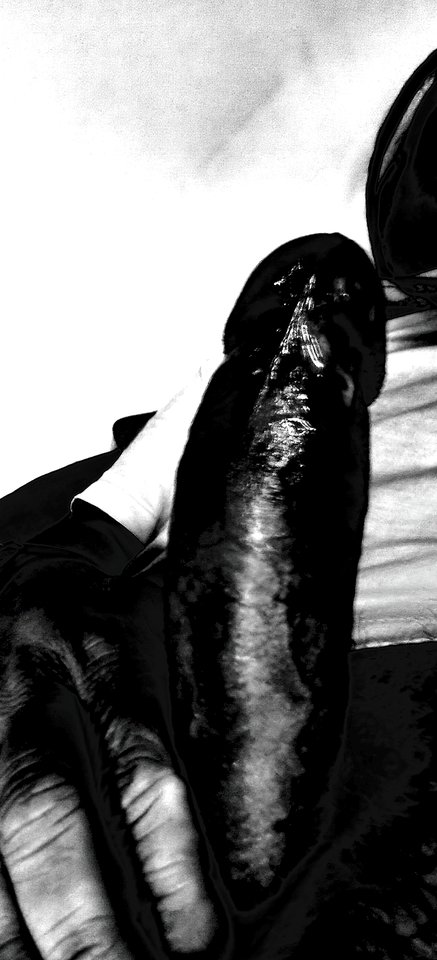 IMG_20251211_111345.jpg - adiozoo