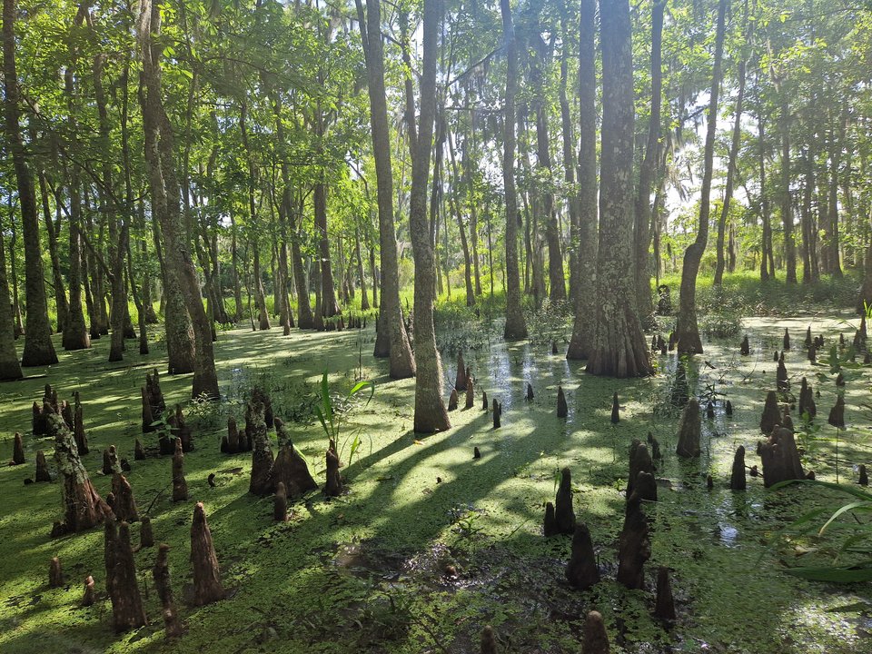 20250606_160320.jpg - Darco49