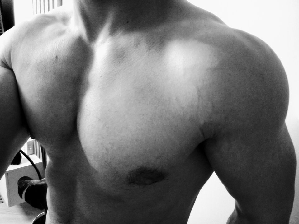 1000003890.jpg - Tarq20