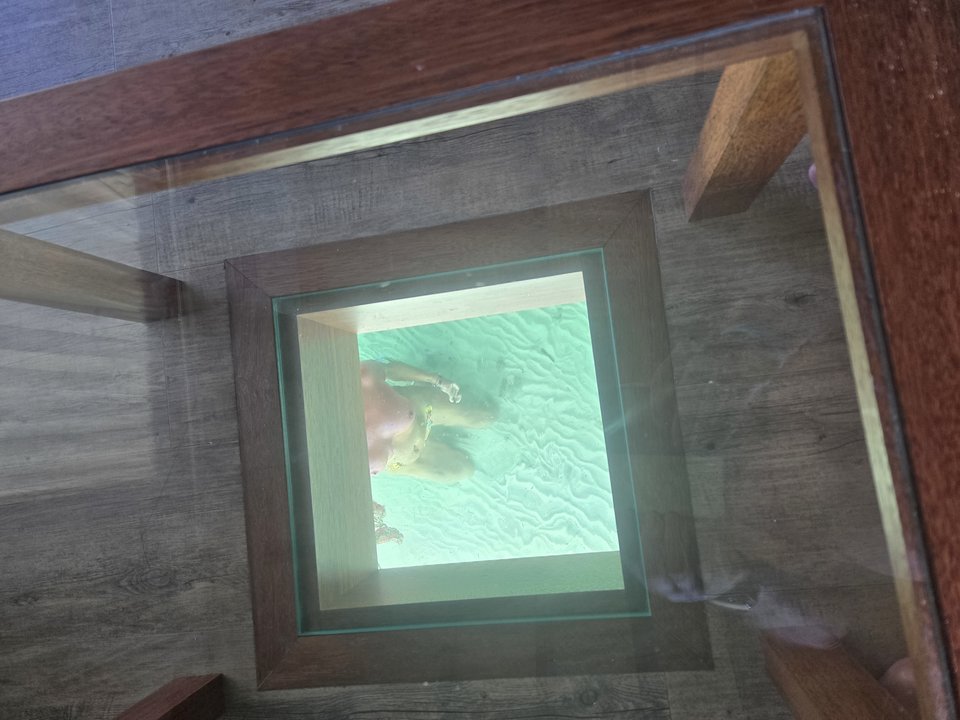 1000038134.jpg - alaisas