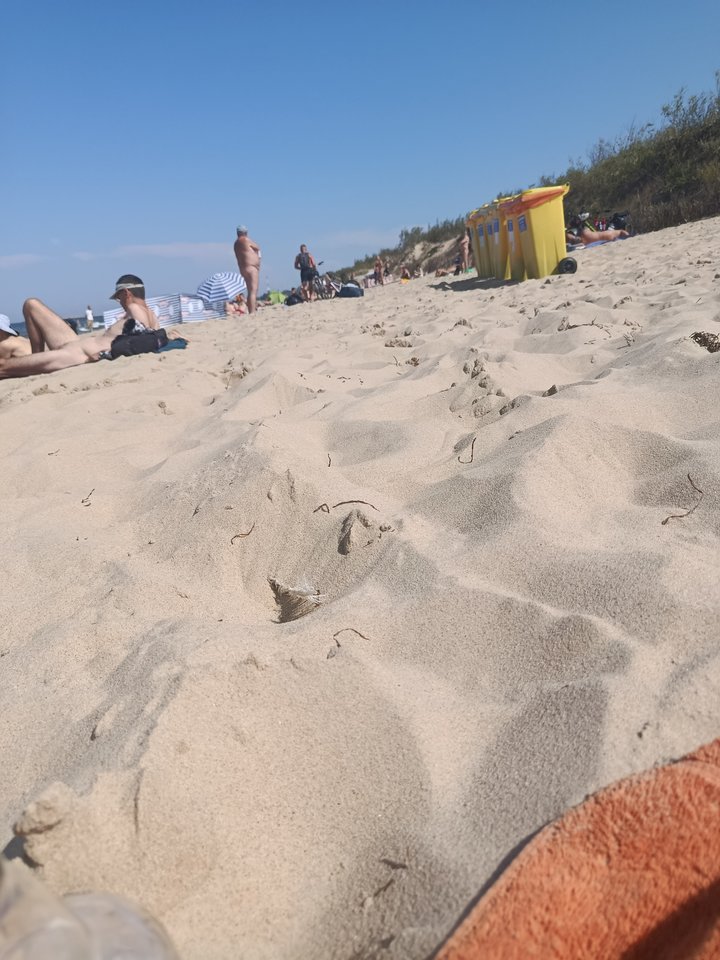 IMG_20250720_150759 — kopia.jpg - glaukos_