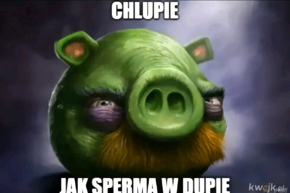 1000013082.jpg - starszego33