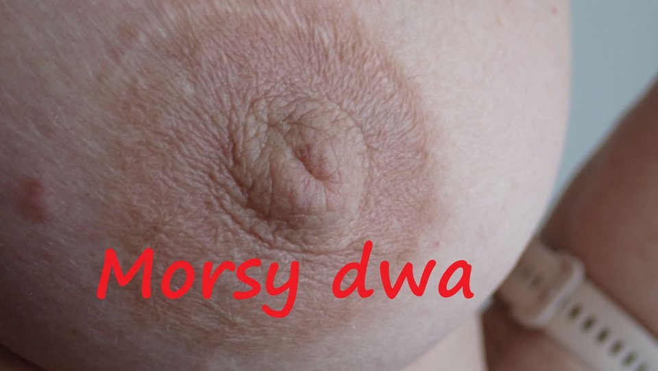Cycuś. - Morsy_dwa